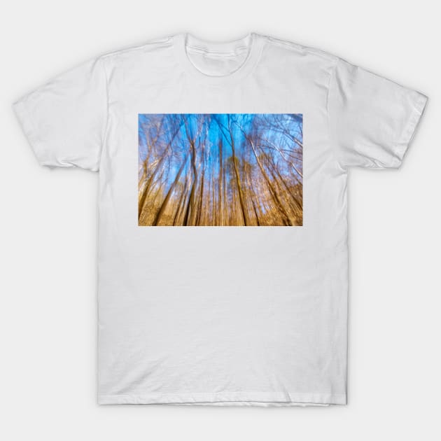 In the Tree Tops T-Shirt by Ckauzmann